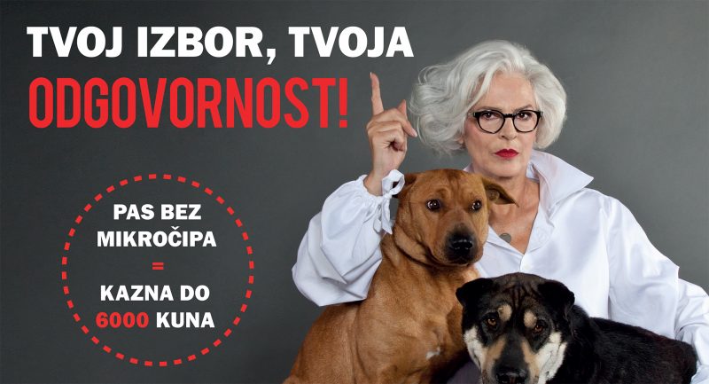 Tvoj izbor tvoja odgovornost_Zvoncica Vuckovic