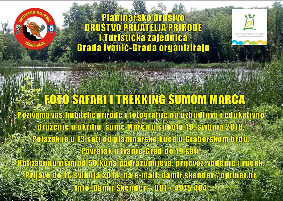 Plakat šuma Marča - trekking