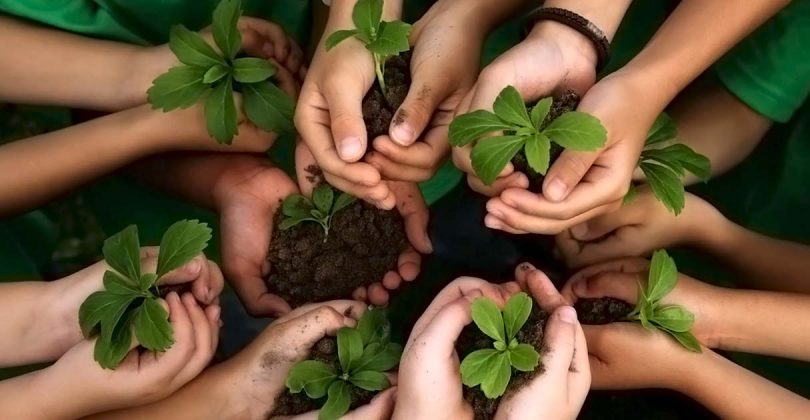 educacao-ambiental-810x420