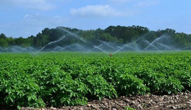 327-25e6_tmp_2_sl-814235f4fa9c895a