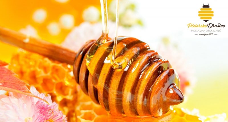 76d5f3_837f91ff564949cba88beb1371cea97b_mv2