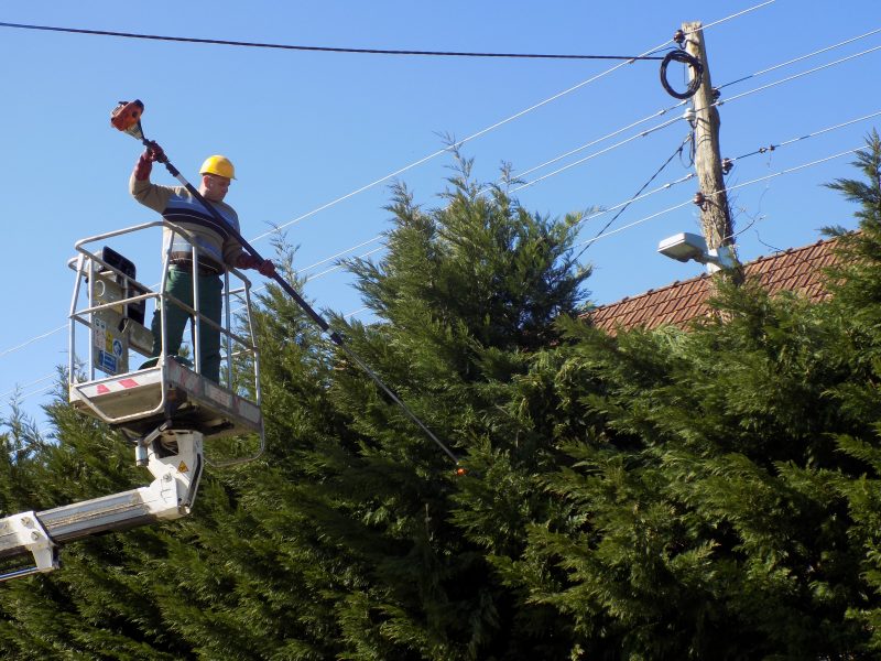 DSCN2220 Uređivanje prijavljenih zaraslih parcela - KCIG - Ivanić-Grad