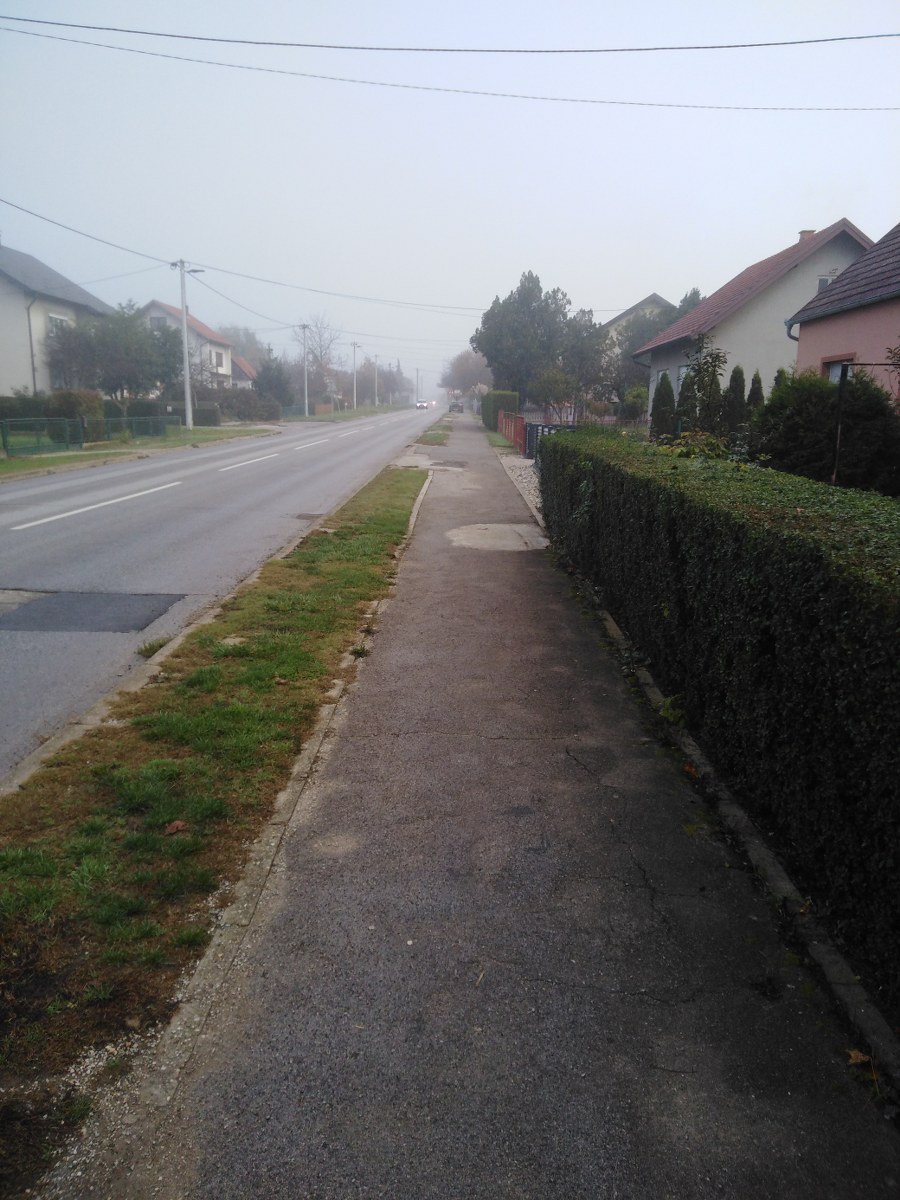 IMG_20221111_082329_900x1200