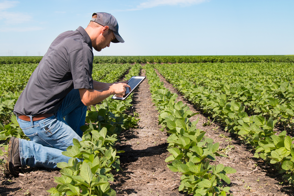 Agronomist,Using,A,Tablet,In,An,Agriculture,Field