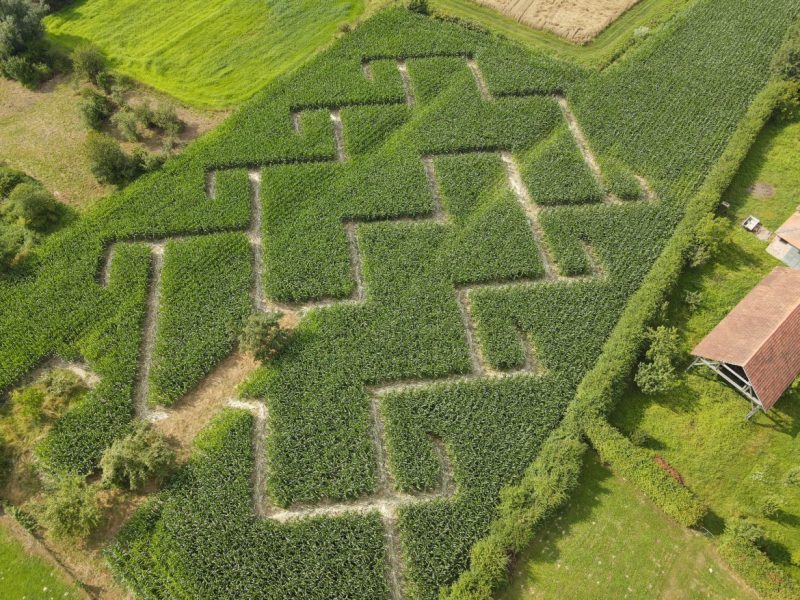 Kukuruzni-labirint-1-1170x878