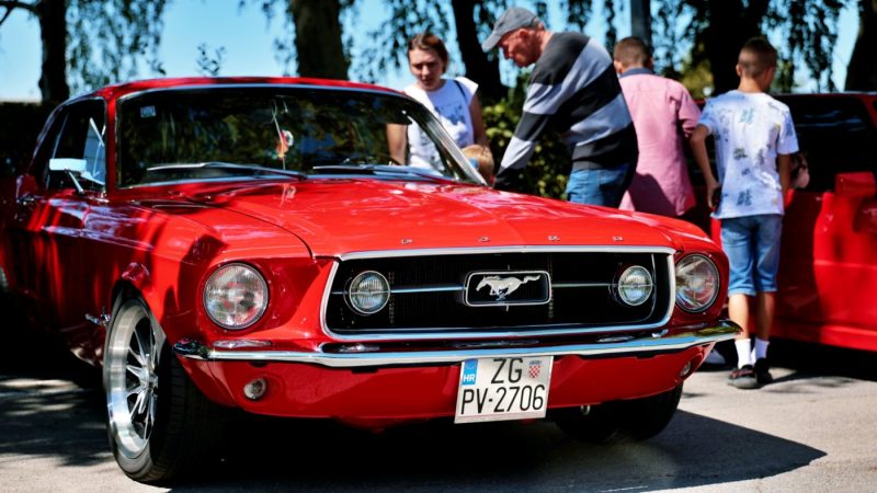 537915369_1310410584429329_7502820155403259436_n